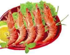 tinmoi.vn Caxi