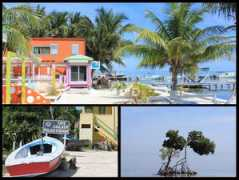 Caye