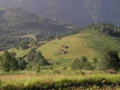 Caykara