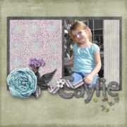 digishoptalk.com Caylie