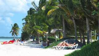 Cayo
