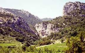 aukadia.net Cayron