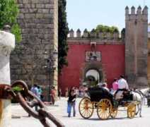 tacoinusaeurope2004.travellerspoint.com Cazar