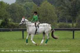peggyjsmith.com Ccms