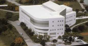 Ccsf