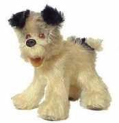 calicoteddy.com Cdog