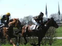 turf.ch Cearan