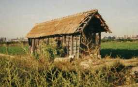 Cebera