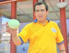 anewscafe.com Cebollo