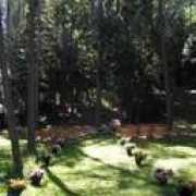 beltonchalet.com Ceceb