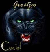 Ceciel