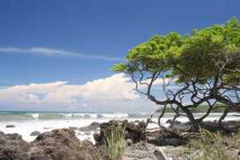 montezumabeach.com Cedros