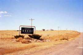 Ceesi