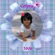 Cefora