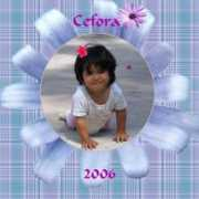 Cefora