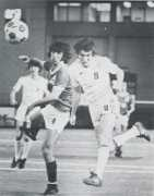 Cehaic