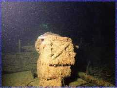 neptunescove.org Cehlar