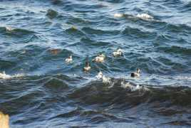 tulaoer.org Ceider