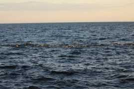 tulaoer.org Ceider