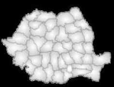 thefullwiki.org Celaru