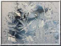 Celcius