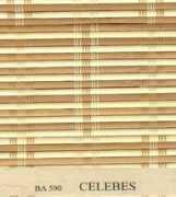 Celebes