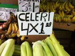 mrericsir.com Celeri