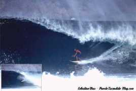 sandralamarche.com Celestino