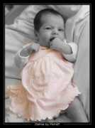 virusphoto.com Celhia