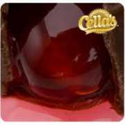 tootsie.com Cellas