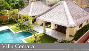 Cemara
