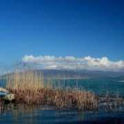 fotokritik.com Cembo