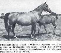 winddrinker.se Cemira