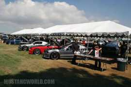 mustangworld.com Cenora