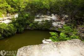 Cenotes
