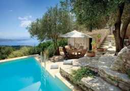simpsontravel.com Centaurea