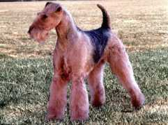jovalairedales.com Centerstage