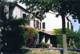Ceoli