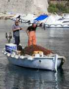 dubrovacki.hr Ceovic