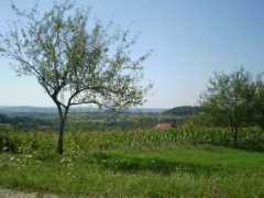 panoramio.com Cerani