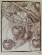 Cerises