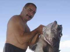 biggame.it Cernie