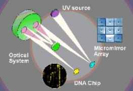 etseq.urv.es Cerrina