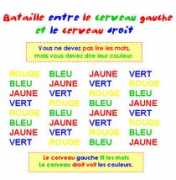 funfou.com Cerveaux