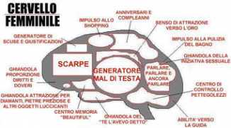 digilander.libero.it Cervella