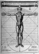 leonardodavinci.stanford.edu Cesariano