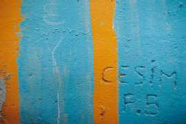Cesim