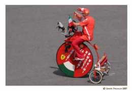 forums.pelicanparts.com Cesiro