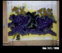 righters.com Cesone