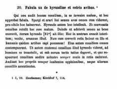 mythfolklore.net Ceteris